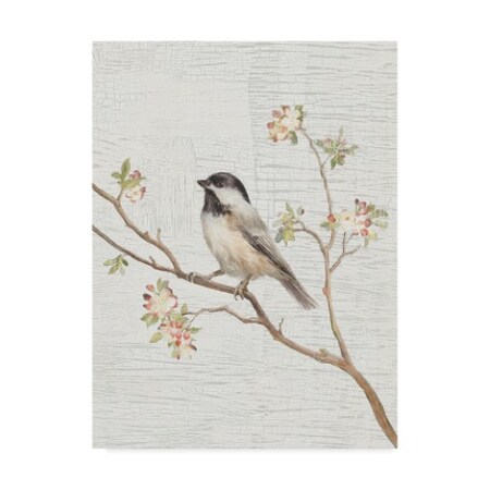 Danhui Nai 'Black Capped Chickadee Vintage' Canvas Art,24x32